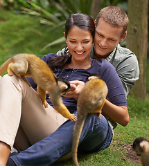 Image showing Monkey, animal and zoo with couple together for wildlife rescue, outdoor activity or interactive experience in nature. Conservation, date and happy people for bonding, holiday or travel at sanctuary
