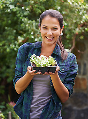 Image showing Woman, smile and seedling for gardening and plant in environment outdoor with tree and sunshine. Gardener and happy person with shrub in soil for sustainability, growth and earth for lawn or garden