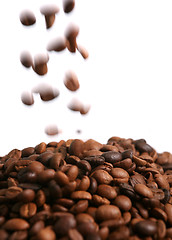 Image showing Falling coffee beans