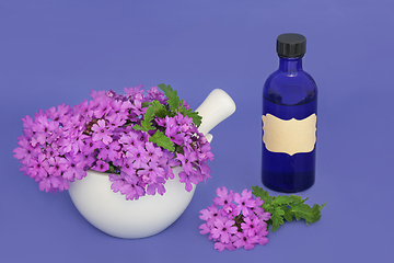 Image showing Verbena Herb Flowers with Aromatherapy Essential Oil