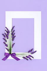 Image showing Lavender Herb Flower Abstract Floral Background  Border