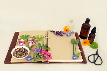 Image showing Herbal Medicine Preparation with Herbs Flowers and Essential Oil