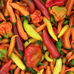 Image showing Chili Pepper Vegetables Healthy Spicy Food