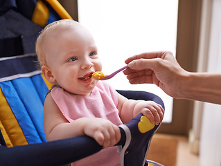 Image showing Baby, hand and feeding food with spoon in chair for nutrition porridge for fiber vitamins or childcare, morning or breakfast. Kid, person and eating meal in home or development growth, dinner or care