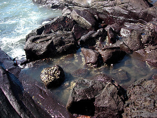 Image showing Seaside rocks