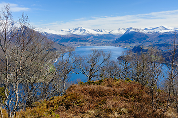 Image showing Majestic mountain vista encompassing serene fjord and verdant fo