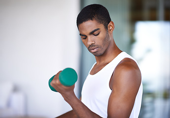 Image showing Man, dumbbell and bodybuilding exercise at gym for performance, muscle training and healthy body. Active, fitness and black person with equipment for wellness, lighting weights and bicep strength