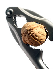 Image showing Cracking a nut