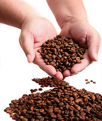 Image showing Hands holding coffee beans