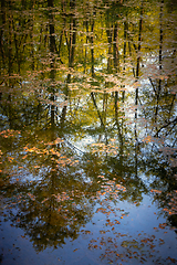 Image showing Quiet lake in the forest