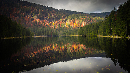 Image showing Großer Arbersee, Bavarian Forest