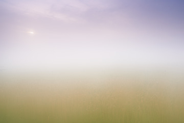 Image showing Misty, sky and clouds with environment, weather and season with colours and morning with sunrise. Empty, summer and fog with air and peaceful with dawn and ozone layer with atmosphere and