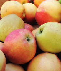 Image showing Healthy, bunch and natural apples from agriculture, above and fruit for nutrition, eating and harvest. Organic, fruits and food from growth of plants with vitamin C for vegetarian or vegan from farm