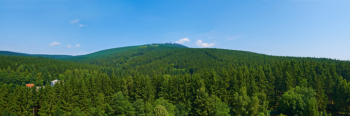 Image showing Forest, nature and landscape with aerial view in sky for land, environment and wilderness for adventure. Greenery, sustainability and vegetation with overgrowth, rainforest and jungle scenery