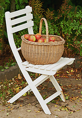 Image showing Chair, apple and basket for leaves, autumn and ground for harvest of healthy food in countryside. Organic, fruit and seat on sustainable, farm and orchard for natural, eco friendly and nutrition