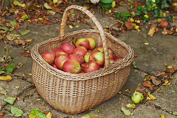 Image showing Organic, apple or basket on ground for autumn, harvest or agriculture of healthy, natural and snack. Fresh, fruit and floor for abundance, sustainability or zero waste for farming eco friendly food