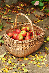 Image showing Apple, basket and ground for autumn, harvest and agriculture of healthy, natural and snack. Organic, fruit and floor for abundance, sustainability or zero waste for farming eco friendly food