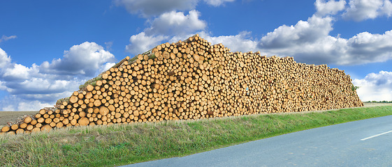 Image showing Log, timber and stack of wood on a road with forest, trees and nature with firewood and deforestation. Plant, street and outdoor in countryside with bark, birch or maple supply with wooden material