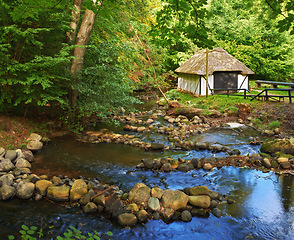 Image showing Countryside, forest and river with vintage cabin in nature with bushes, environment and conservation in Virginia. Village, woods and storage with rust in ghost town and isolated neighborhood