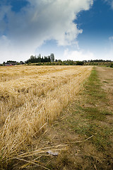 Image showing Hay Field