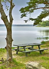 Image showing Lake, bench and summer with nature, trees and environment with grass and earth with blue sky. Empty, seating and water with fresh air and forest with plants and landscape with countryside and ecology