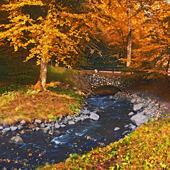 Image showing Autumn, landscape and trees in river with bridge, woods and natural environment with leaves, plants and rock. Stream, water and forest with growth, sustainability and ecology with grass in Denmark