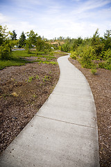 Image showing Park Trail