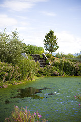 Image showing Park Pond