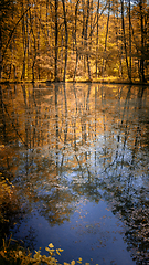 Image showing Quiet lake in the forest