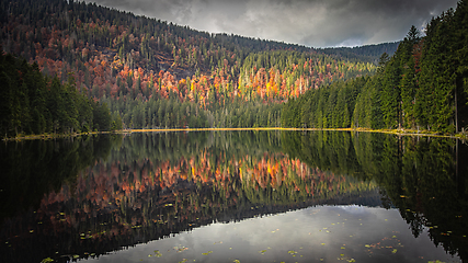 Image showing Großer Arbersee, Bavarian Forest