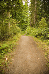 Image showing Pacific Northwest Trail