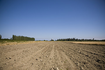 Image showing Ploughed Field