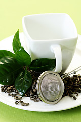 Image showing cup of green tea