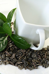 Image showing cup of green tea