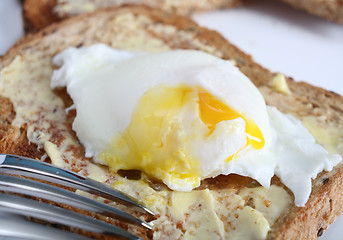 Image showing Poached egg on toast