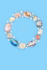 Image showing Mother of Pearl and Natural Seashell Wreath