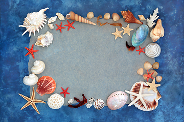 Image showing Seashell Assortment Abstract Background Border