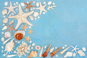 Image showing Sea Shell Abstract Background Border Collection