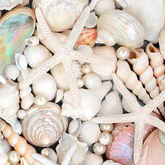 Image showing Sea Shell and Pearl Natural Sea Life Background