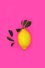 Image showing Gaudy Summer Lemon Citrus Fruit Design