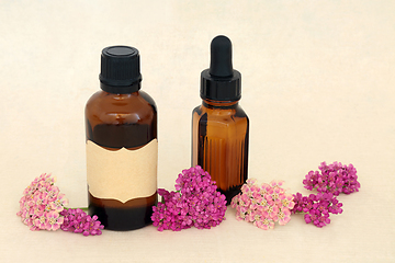 Image showing Medicinal Achillea Herb Flowers with Tincture Bottles