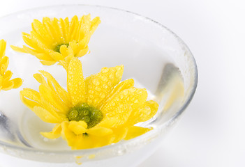 Image showing yellow flowers close up