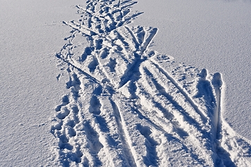 Image showing ski and footprints on the snowy surface 