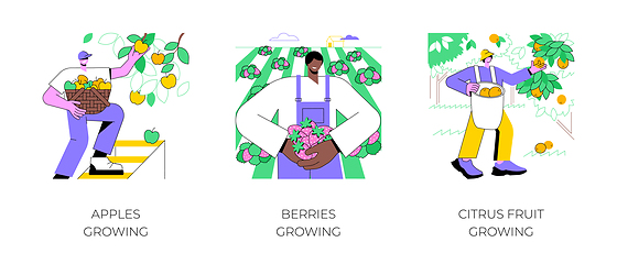 Image showing Fruit production isolated cartoon vector illustrations.