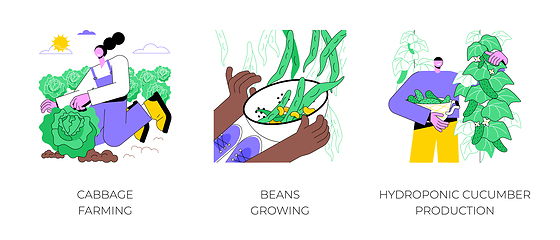 Image showing Growing vegetables isolated cartoon vector illustrations.