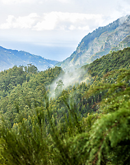 Image showing beautiful Madeira landscape