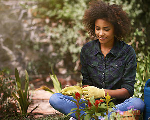 Image showing Woman, gardening and happy with plants, outdoor and gloves for safety from germs, dirt or dust in spring. Girl, person and flowers in ground for growth, development or nature with ecology in backyard