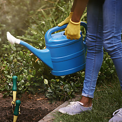 Image showing Hands, gardening and outdoor with water can, plants and liquid in spring for health, care or growth. Person, hydration and soil with ground for dirt, development and nature with ecology in backyard