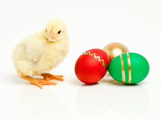 Image showing Chick, easter and chocolate eggs or sweets dessert on holiday for festive celebration, shell or traditional. Animal, young and unhealthy snack in studio white background for vacation, season or candy