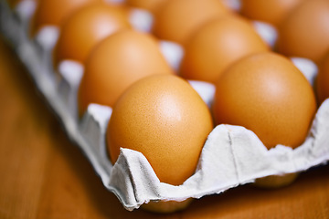 Image showing Agriculture, nutrition and eggs in carton for sustainable, organic food and reproduction with wellness. Diet, closeup and produce from livestock for protein, breakfast or healthy meal on table